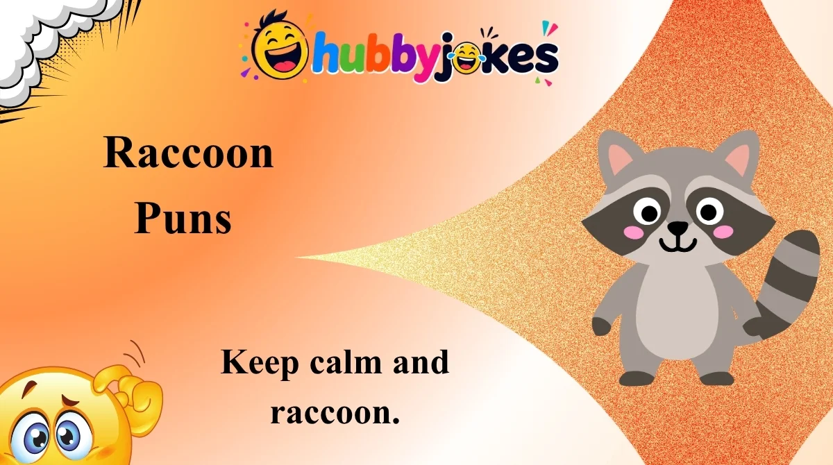 Raccoon Puns