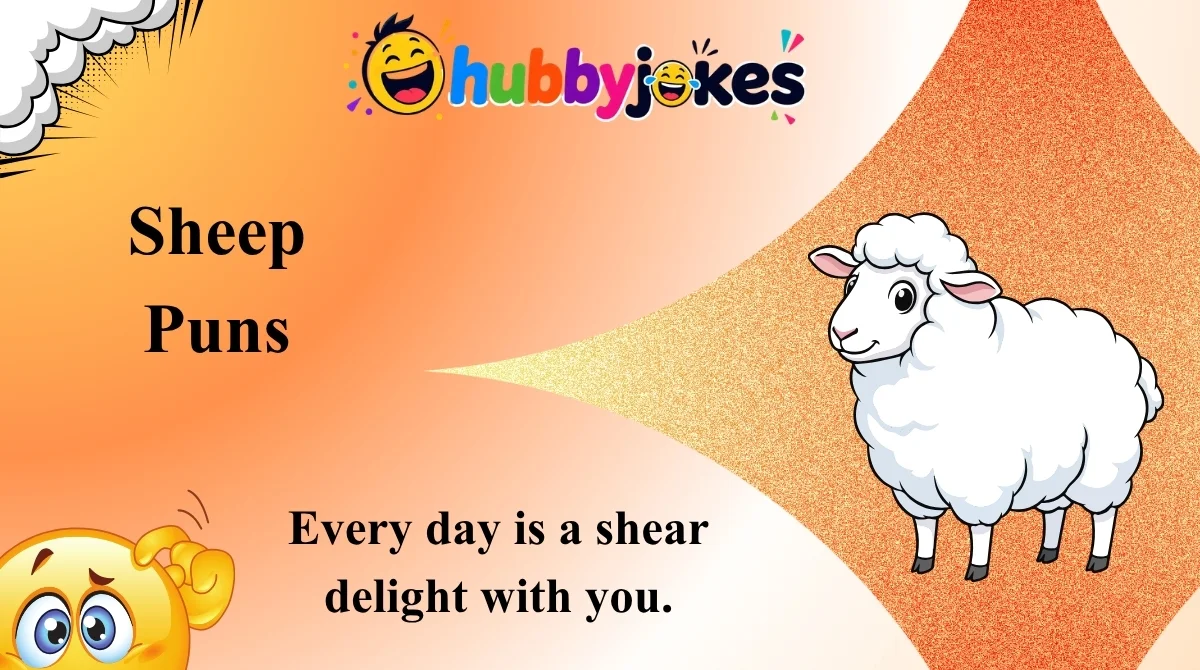 Sheep Puns