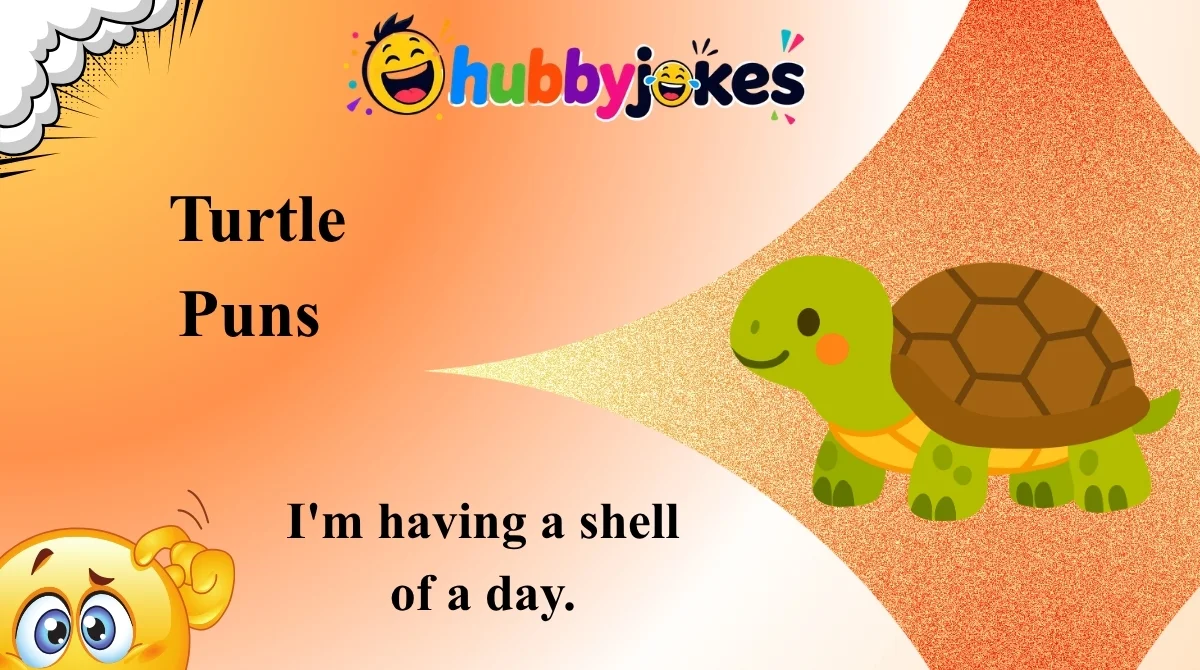 Turtle Puns