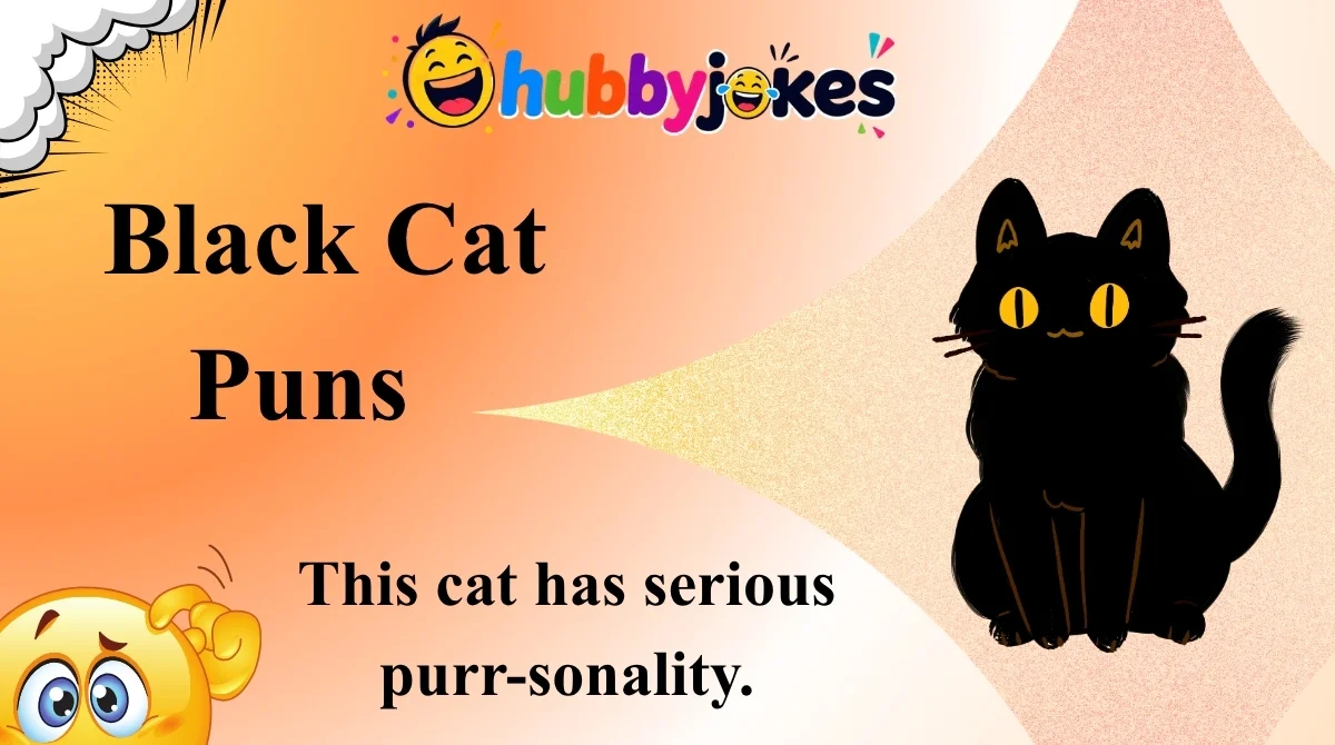 Black Cat Puns