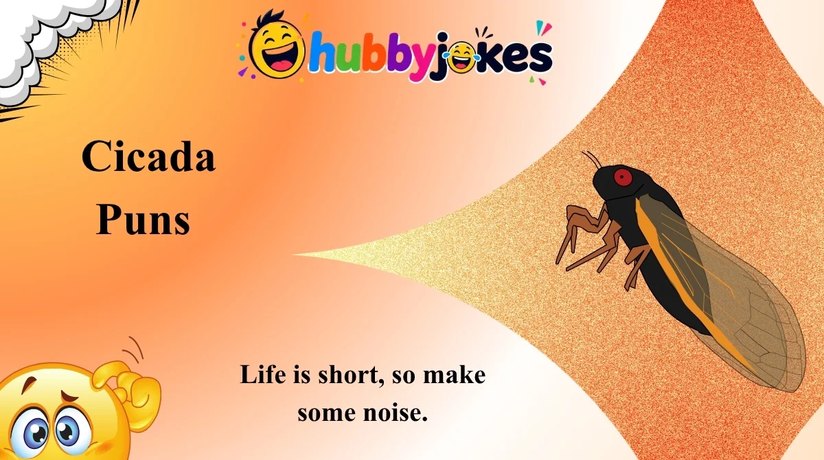 Cicada Puns