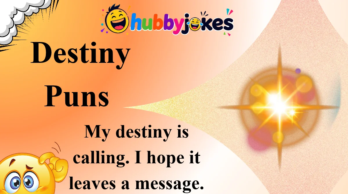 Destiny Puns