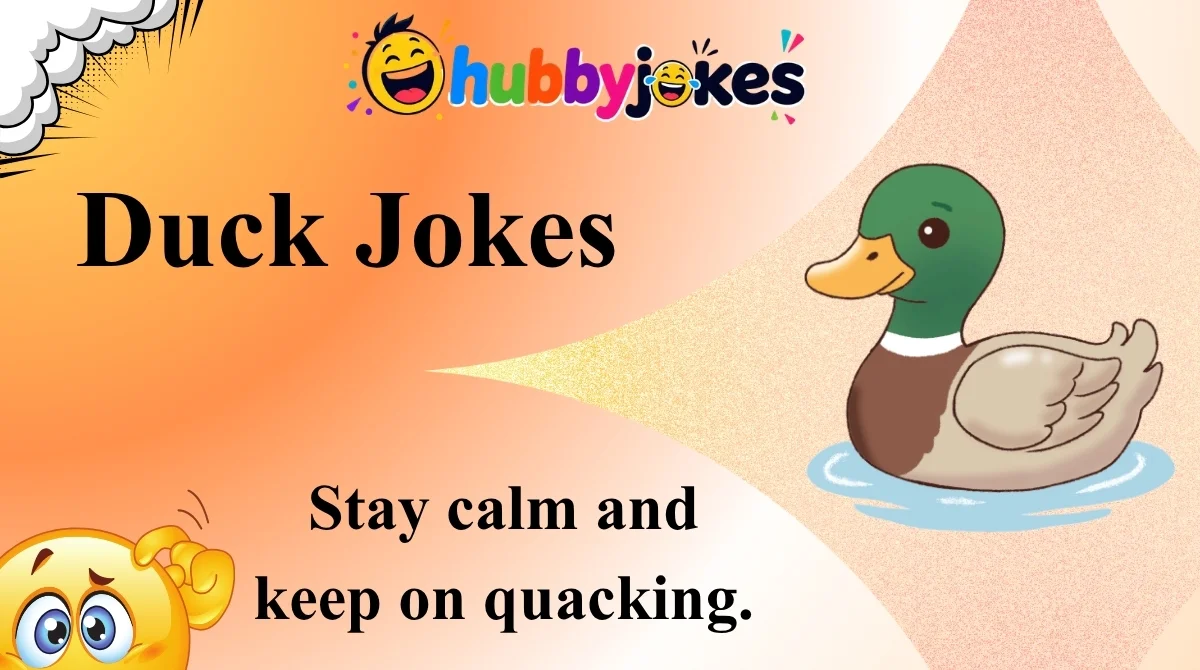 Duck Jokes