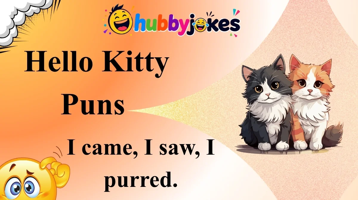 Hello Kitty Puns
