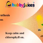 Photosynthesis Puns
