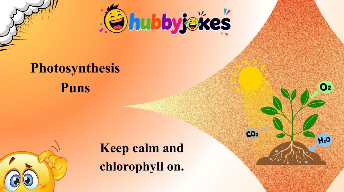 Photosynthesis Puns